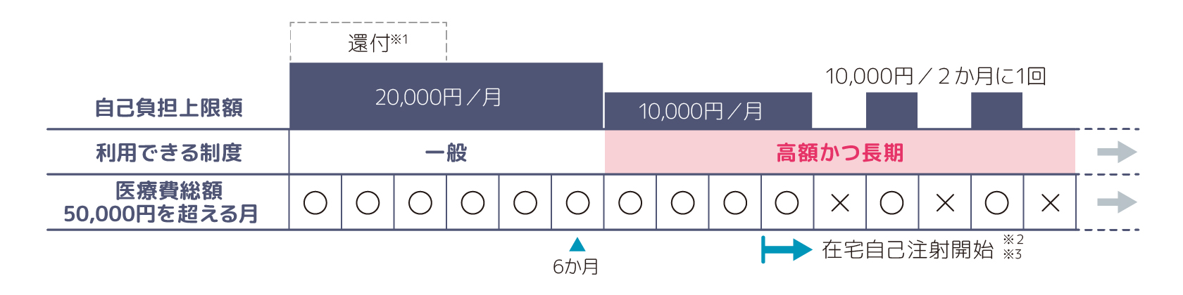 症状の程度が重症度分類で「重症」に該当した場合の自己負担額を表した図