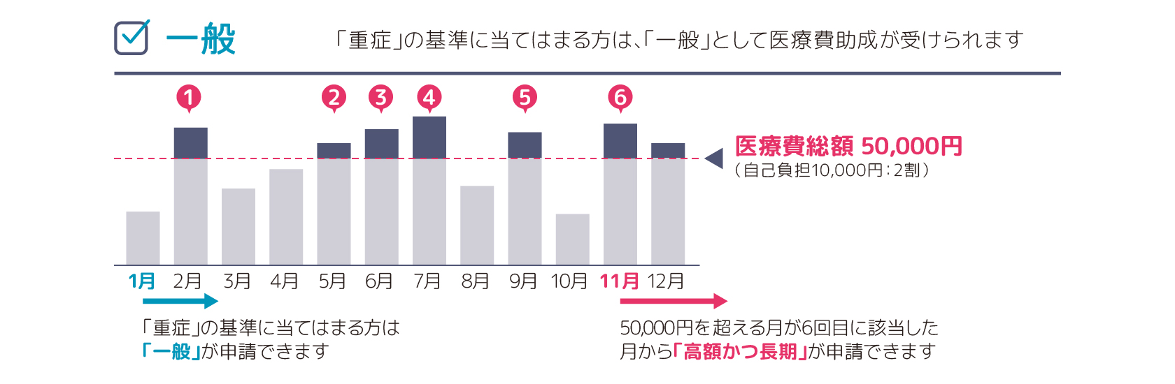 「重症」の基準に当てはまる方が申請できる月を表した図。「重症」の基準に当てはまる方は 「一般」が申請できる。50,000円を超える月が6回目に該当した月から「高額かつ長期」が申請できる。