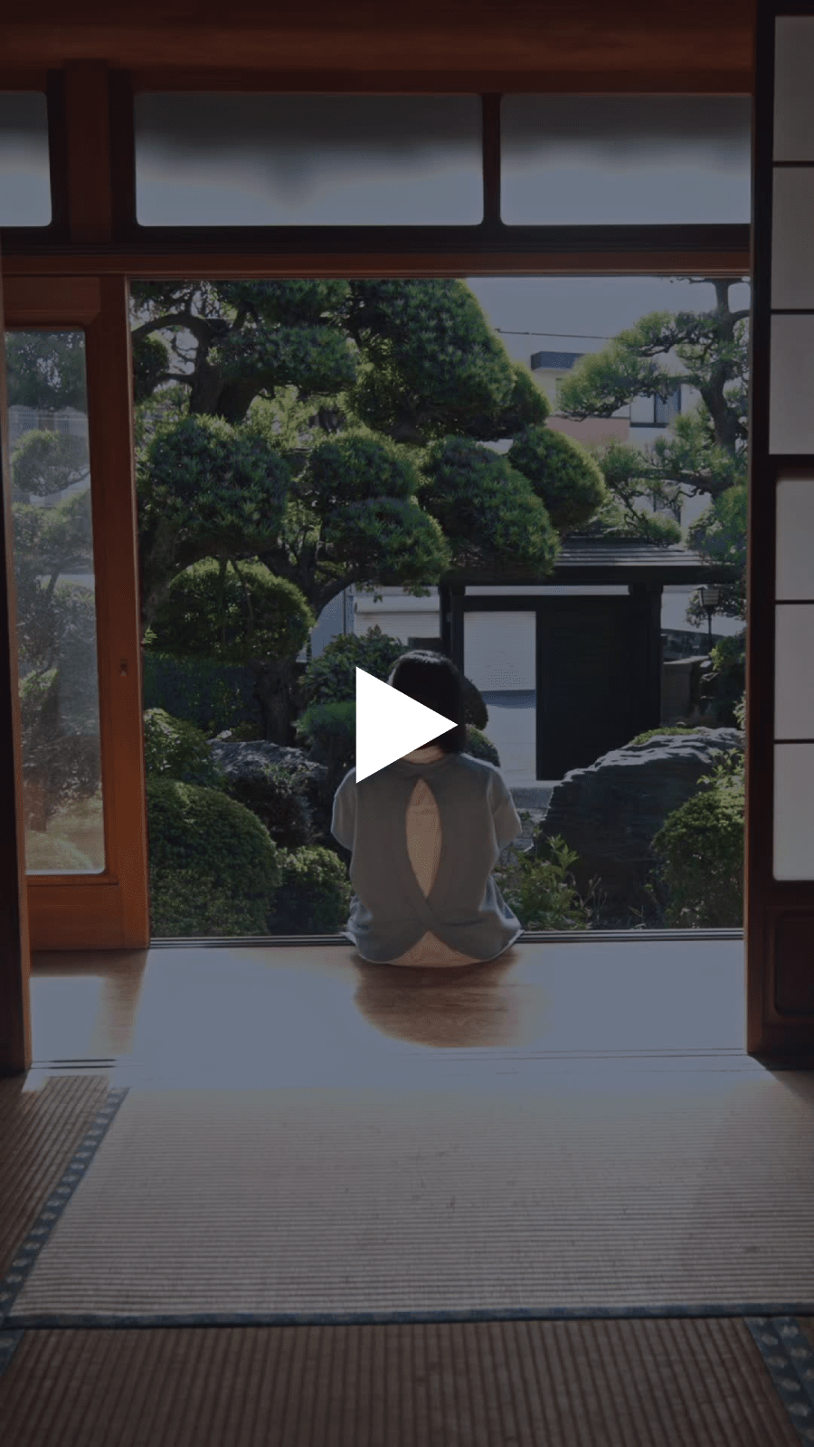 夢日記